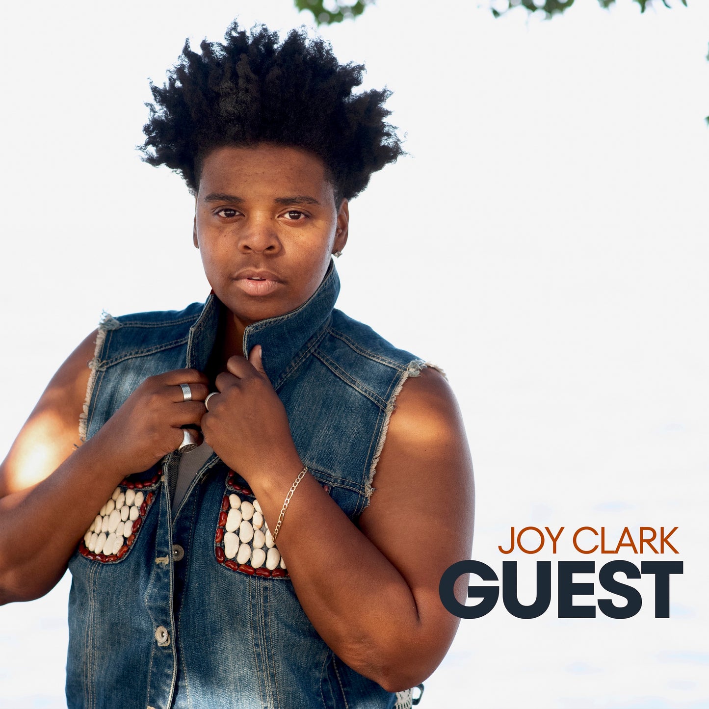 Joy Clark - Guest (Single)